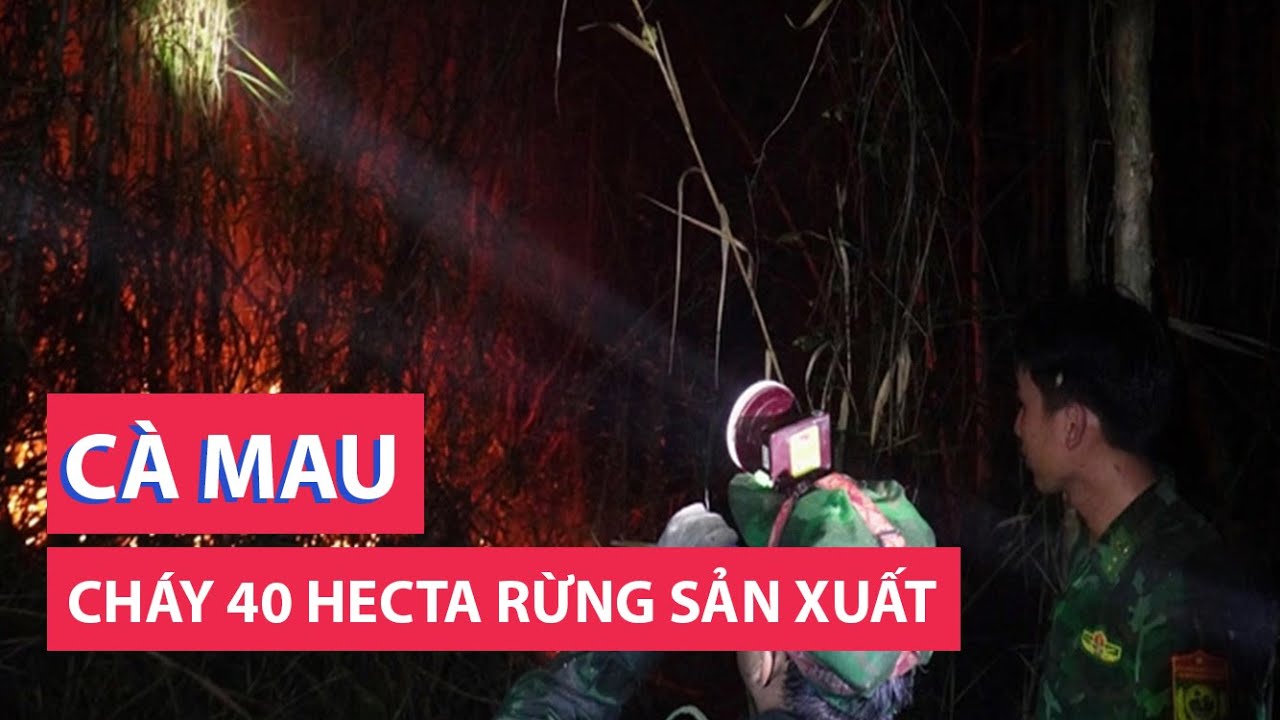 40ha rừng sản xuất ở Cà Mau đang cháy lớn