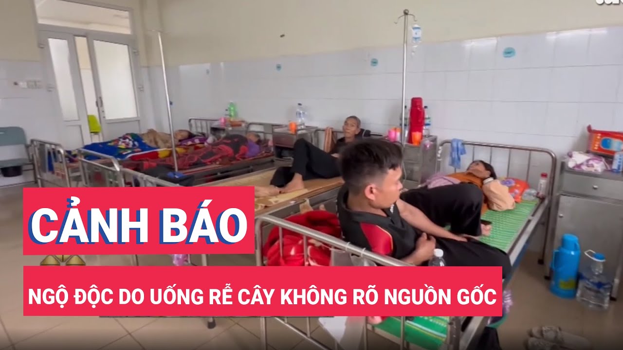 Cảnh báo ngộ độc do uống rễ cây không rõ nguồn gốc