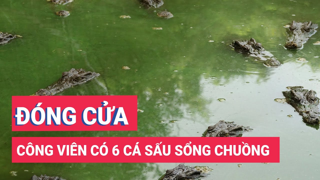 Đóng cửa tạm thời công viên có cá sấu sổng chuồng