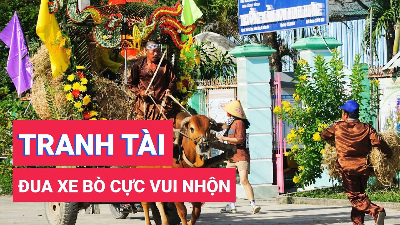 Nông dân tranh tài đua xe bò cực vui nhộn