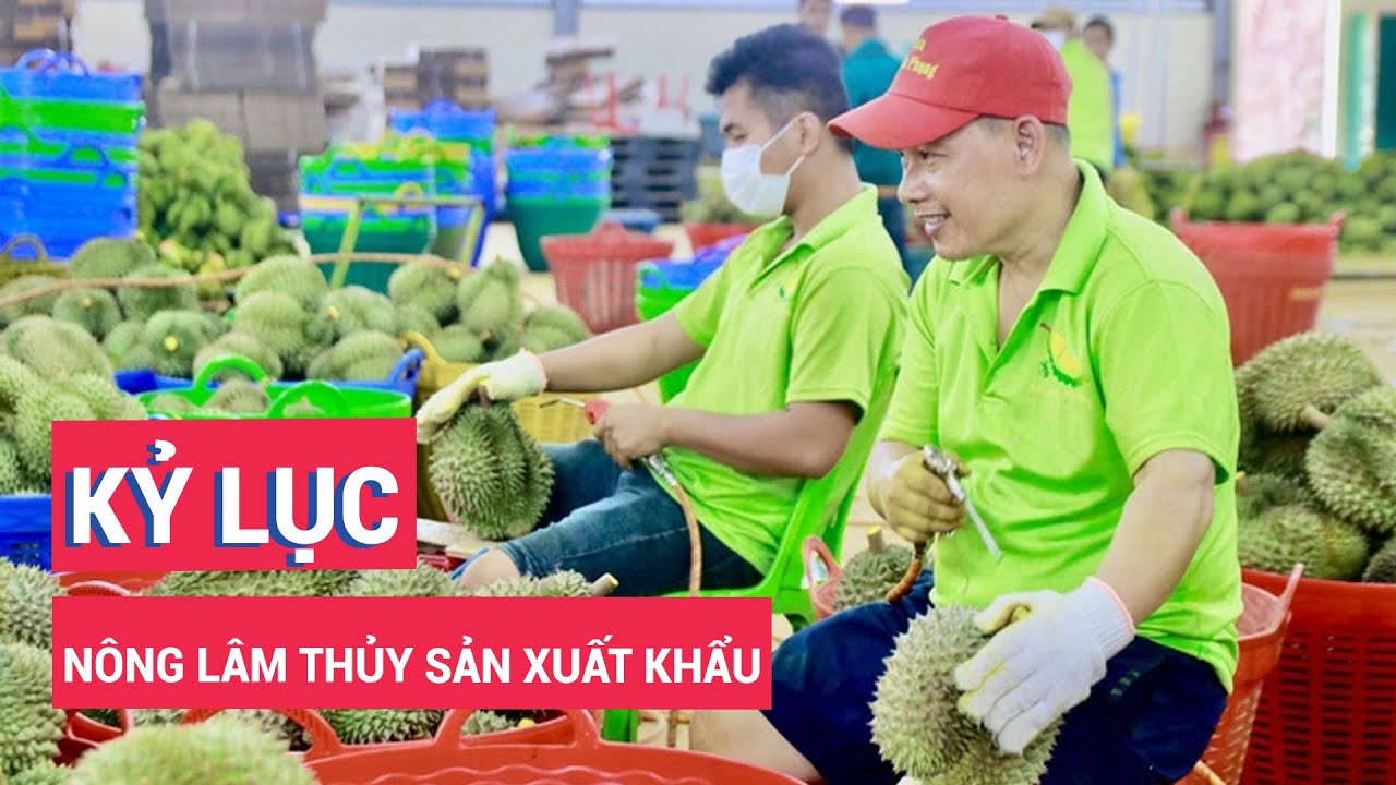 Nông lâm thủy sản xuất siêu kỷ lục