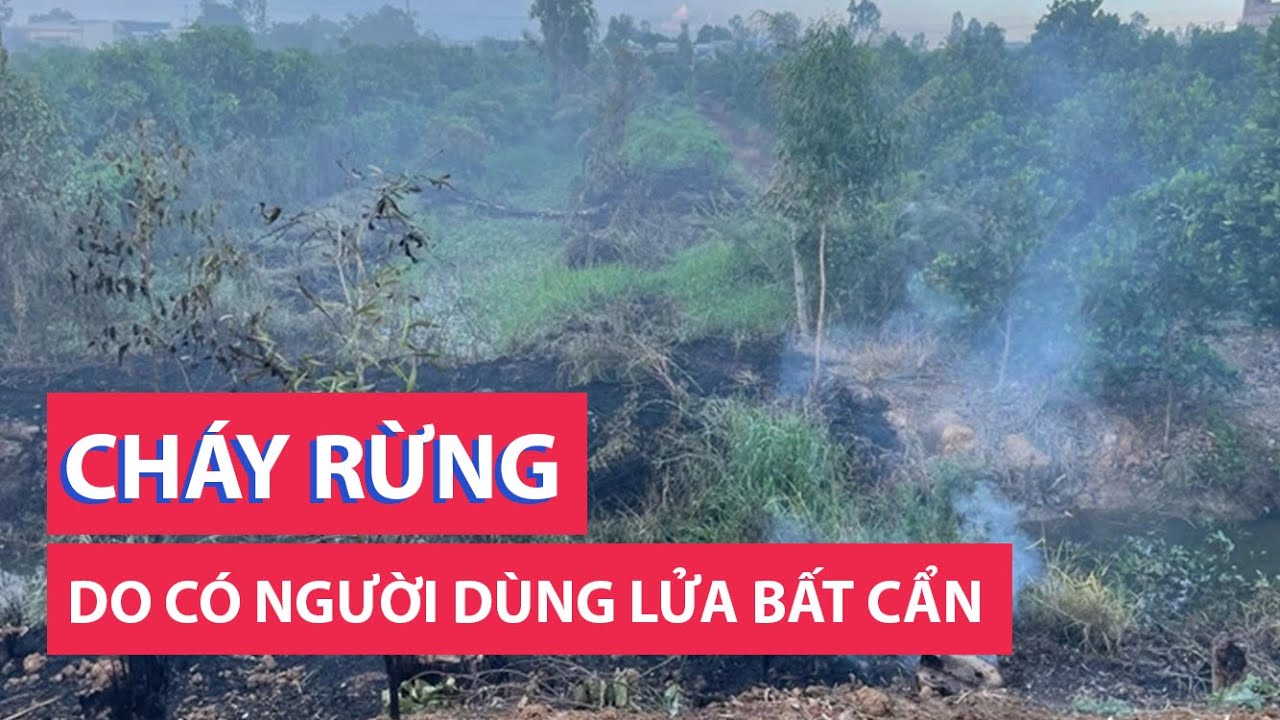 Cháy Vườn quốc gia Tràm Chim: Do có người xâm nhập, dùng lửa bất cẩn