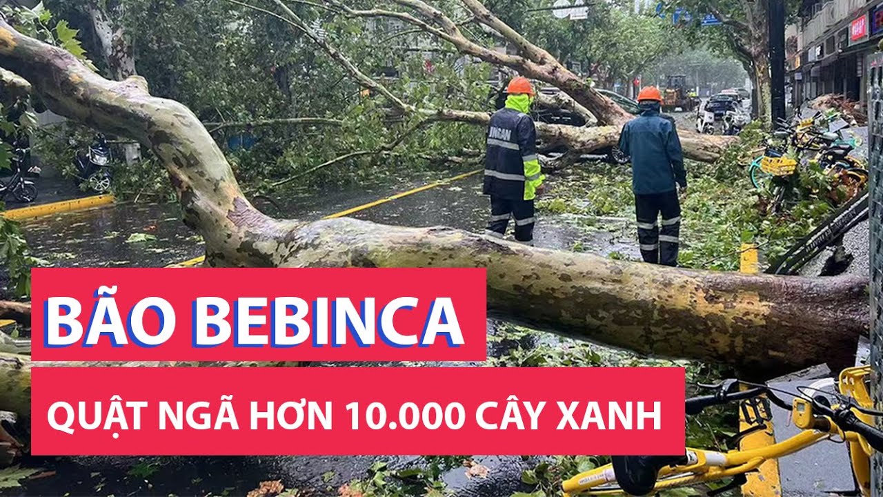 Bão Bebinca quật ngã hơn 10.000 cây xanh ở Thượng Hải