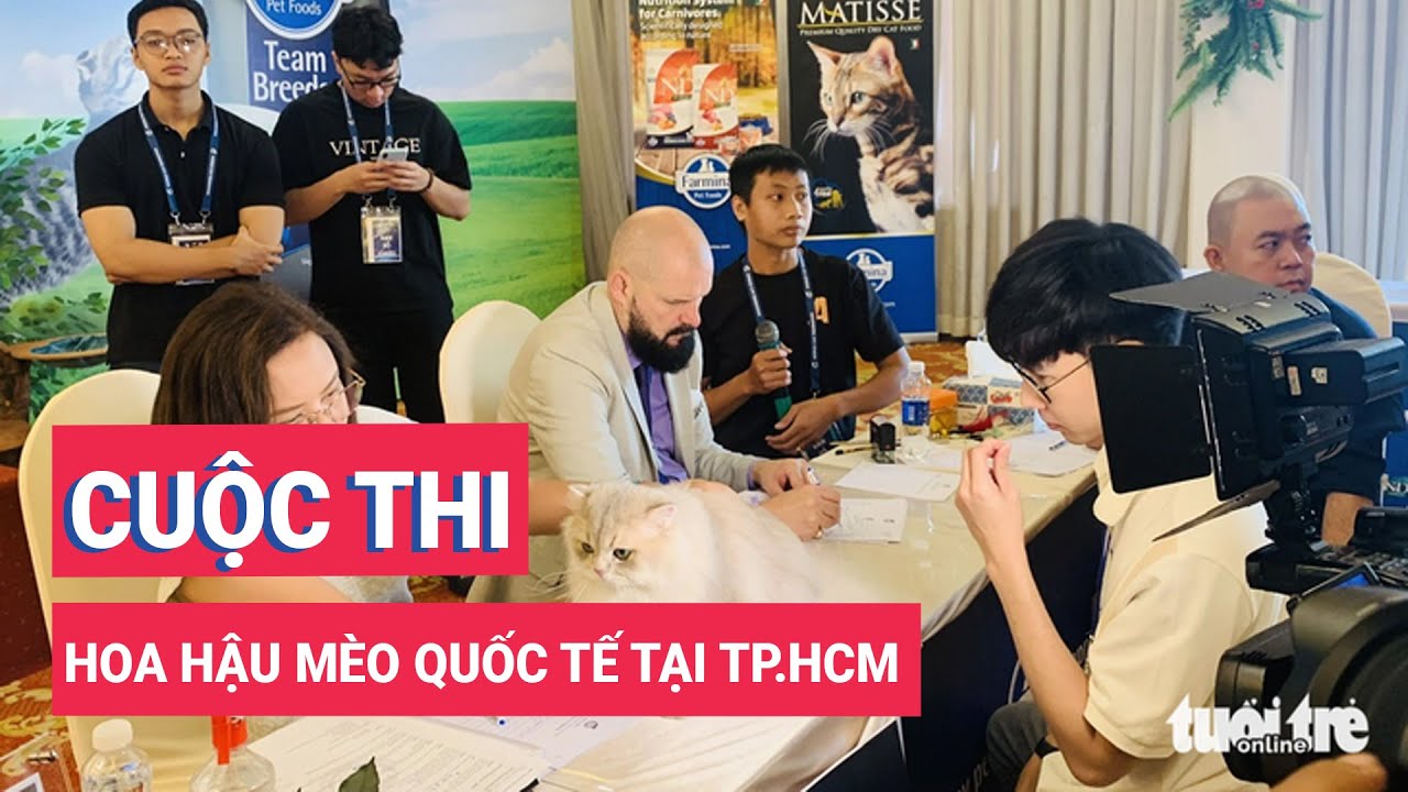 Cuộc thi hoa hậu mèo quốc tế tại TP.HCM