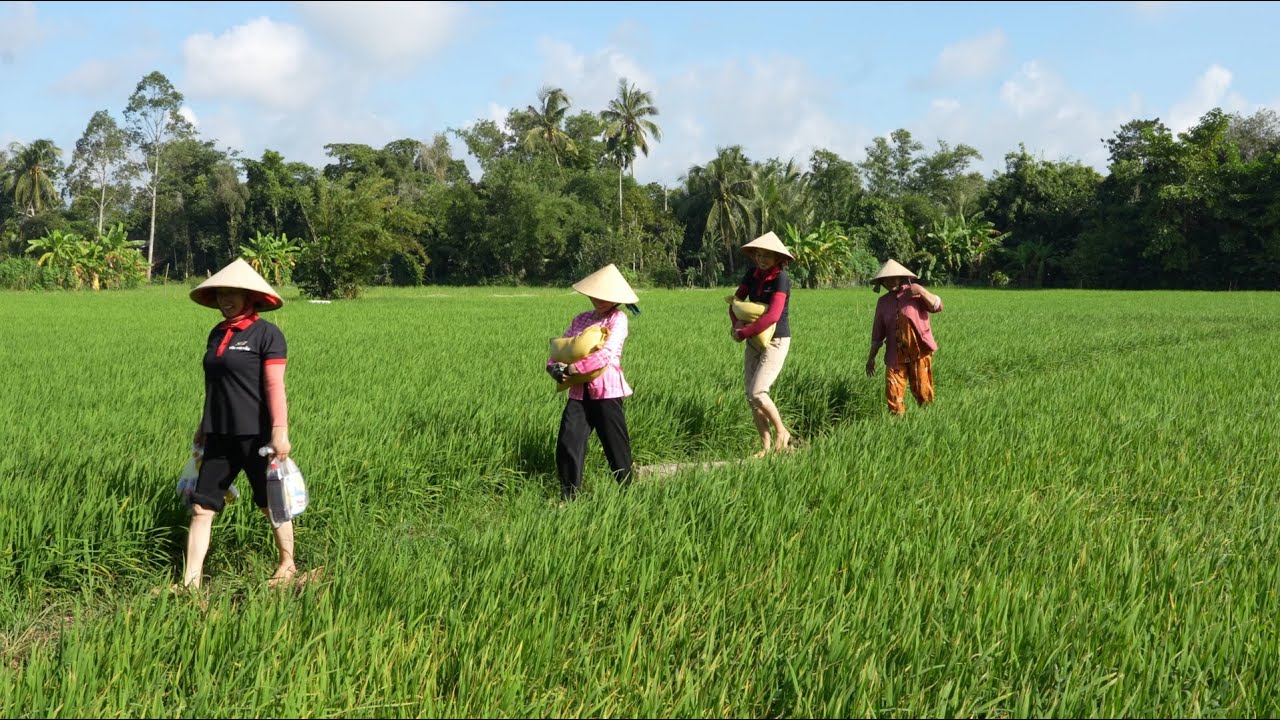 1317 / Nhóm thay mặt anh Dũng ở Mỹ trao 72 phần quà cho bà con