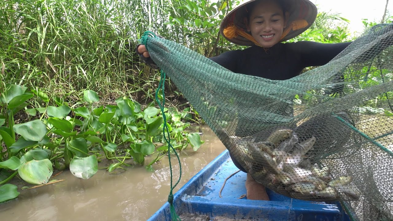 1067 / Đặt lú đồng bơm dính cá thấy mê