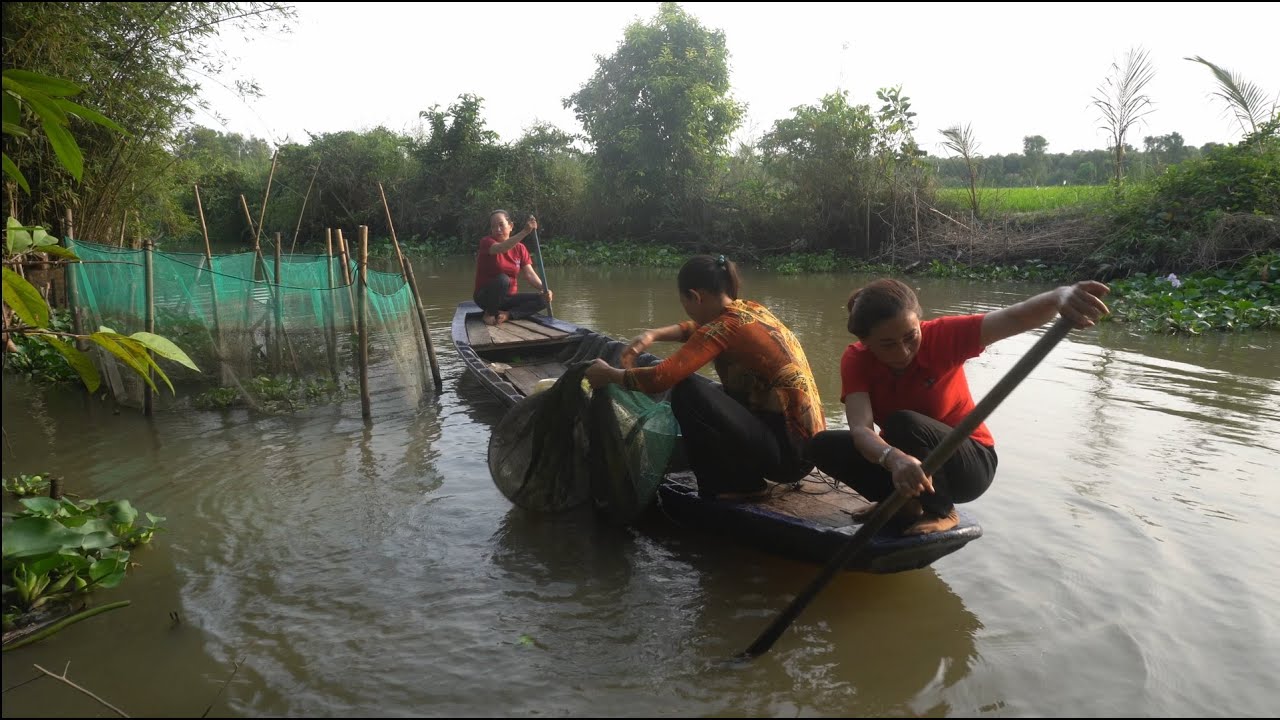 1121 / Thăm dớn cá tập tàn về kho bần