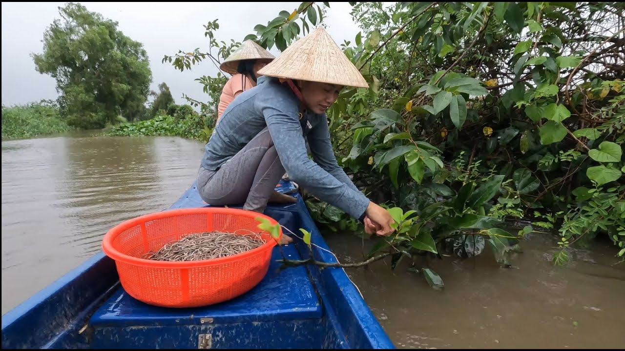 1296 / Thăm câu viền trong đêm mưa