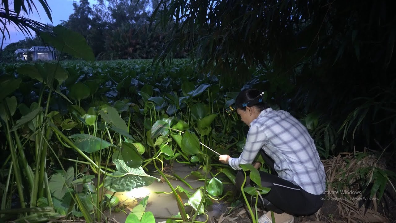 1041 / Cắm câu sông Cái Bé bằng mồi trùn quắn