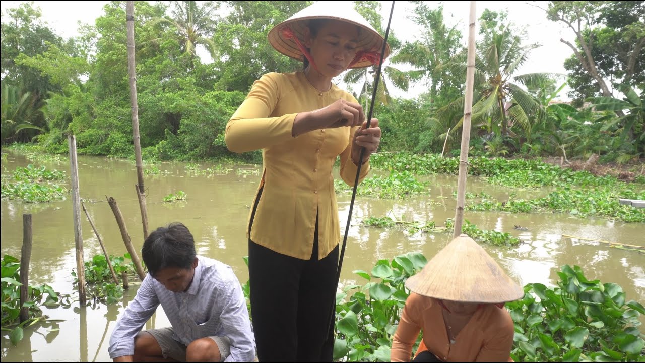 1271 / Trời mưa ngồi câu cá giật thấy ham