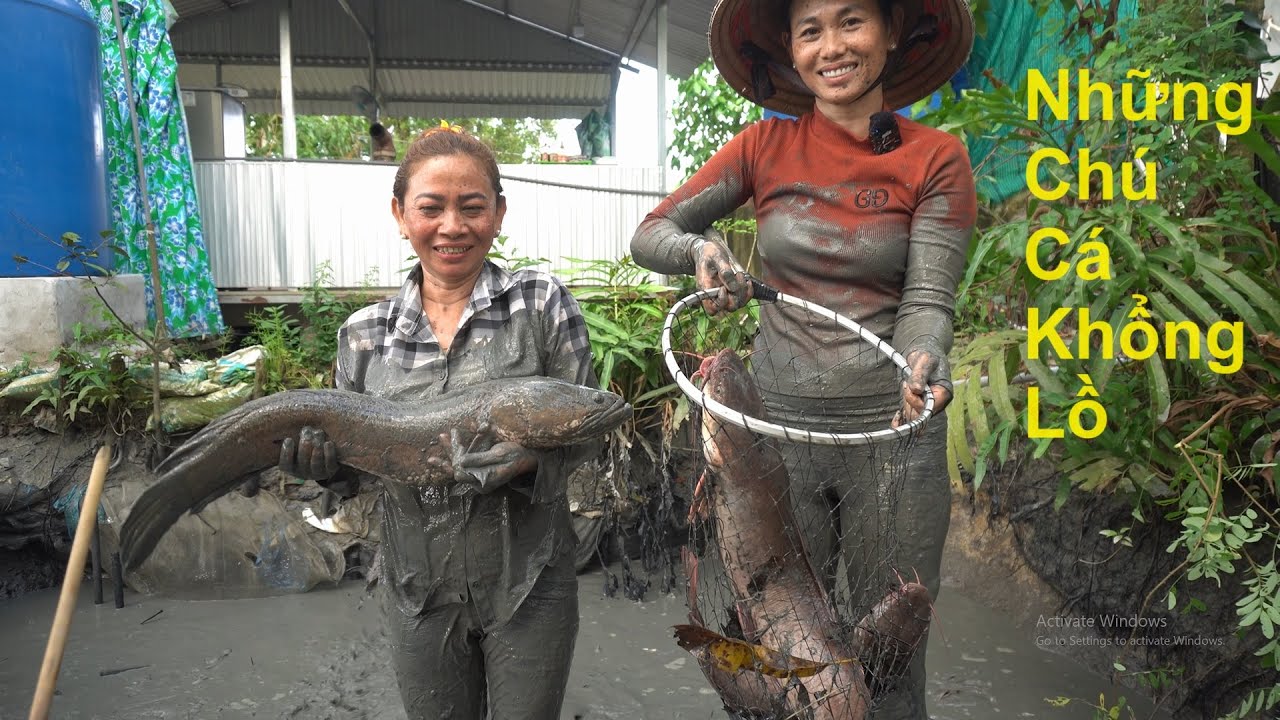 1055 / Tát hầm lâu năm bắt lên toàn hạng nặng