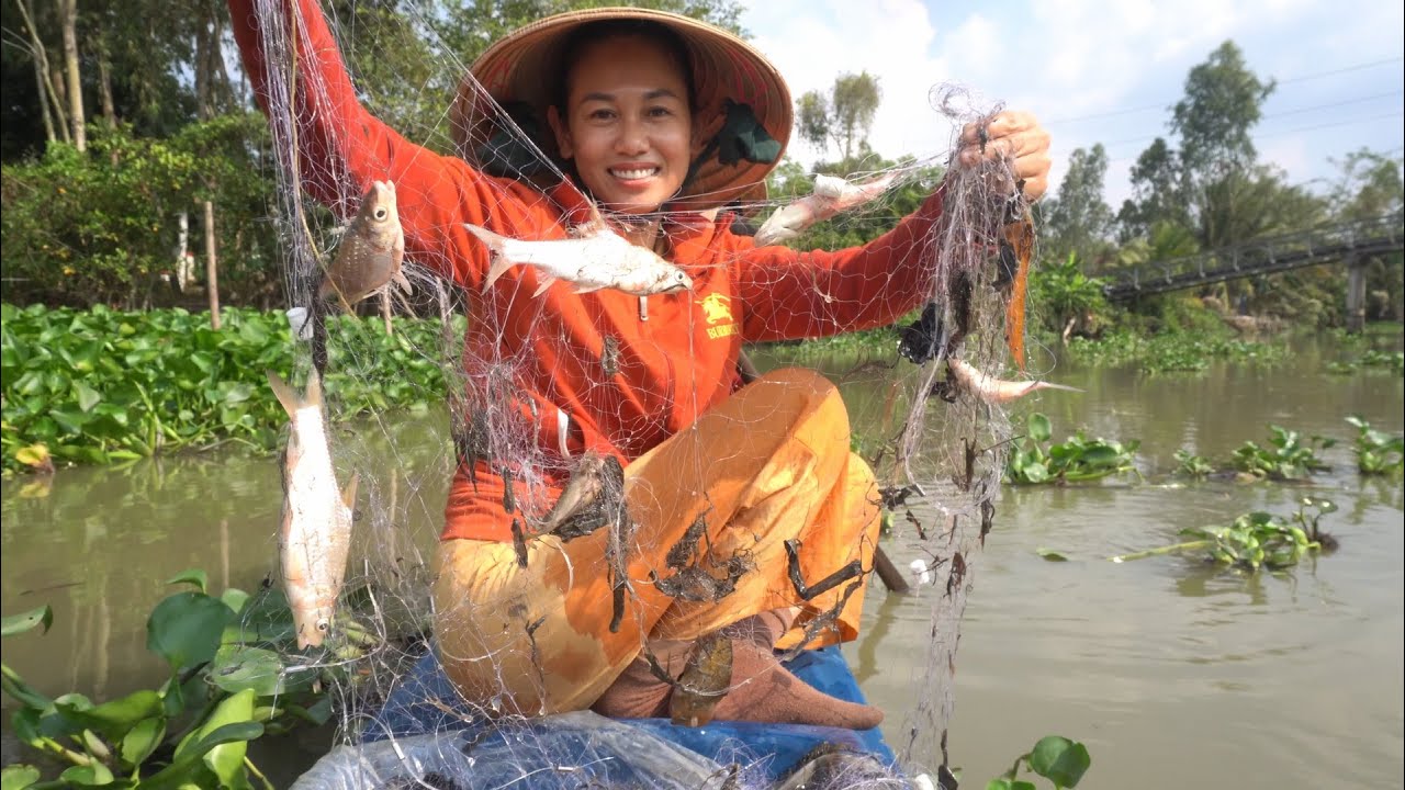 1199 / Giăng lưới ba màng trúng bầy cá cóc