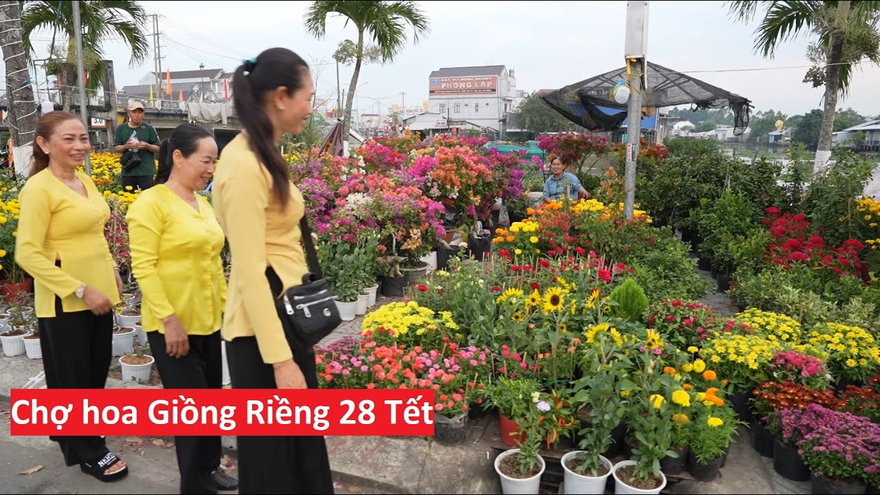 1140 / Đi chợ hoa huyện Giồng Riềng