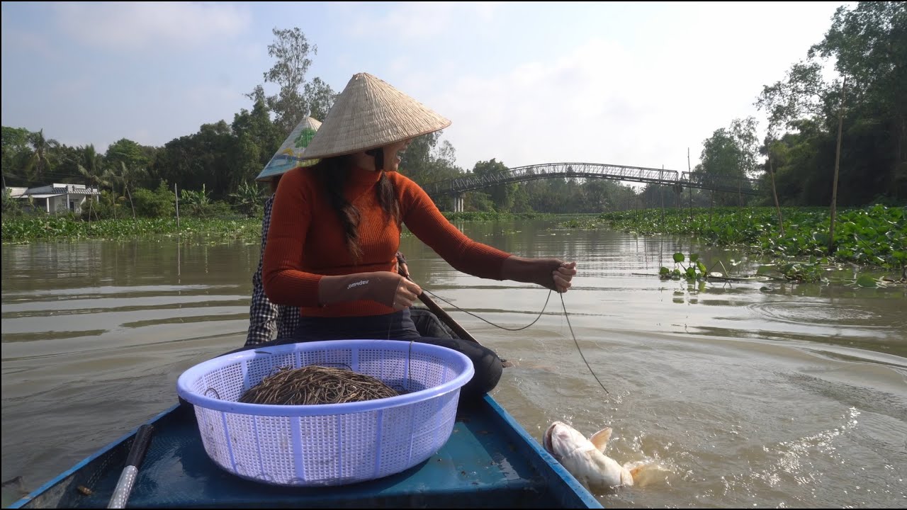 1169 / Giăng câu cá tra ba lưỡi dính liền ba con