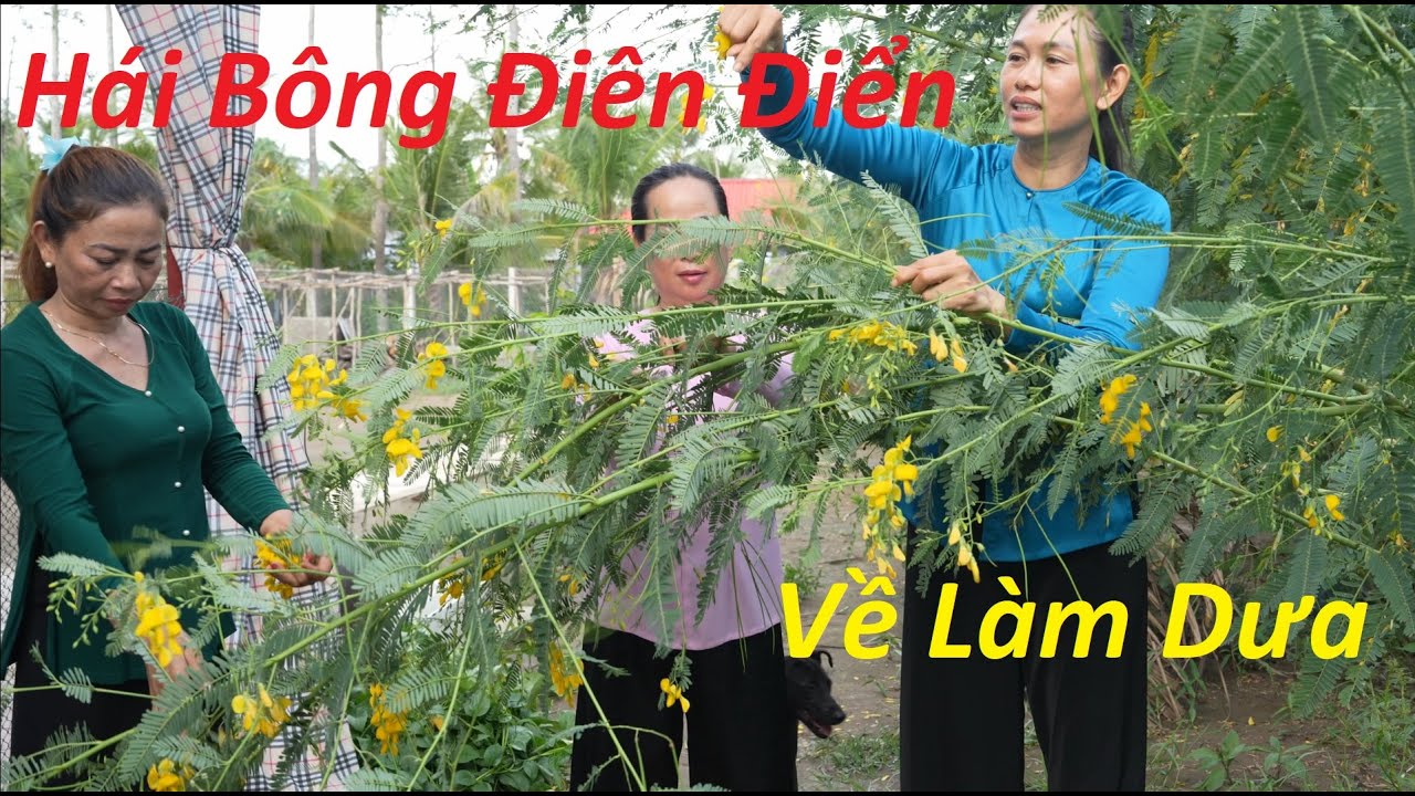 1245 / Video cuộc sống hàng ngày của mấy chị em