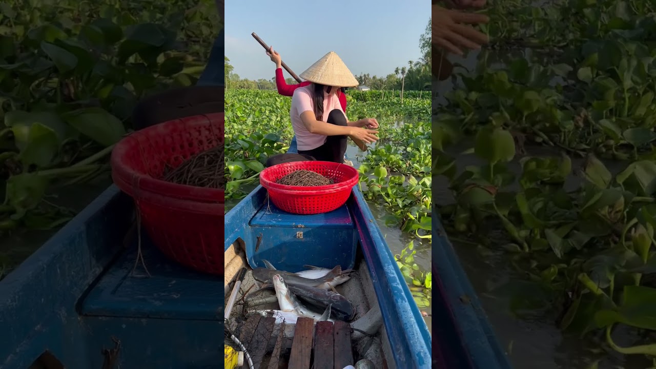 Giăng Câu Cá Tra Dính Hai Con Liền