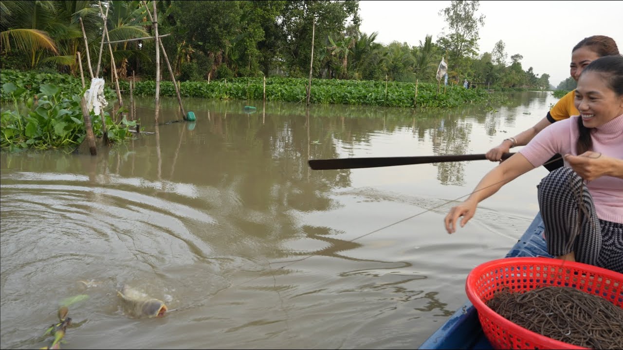 1110 / Giăng câu cá tra về đãi thợ lợp nhà