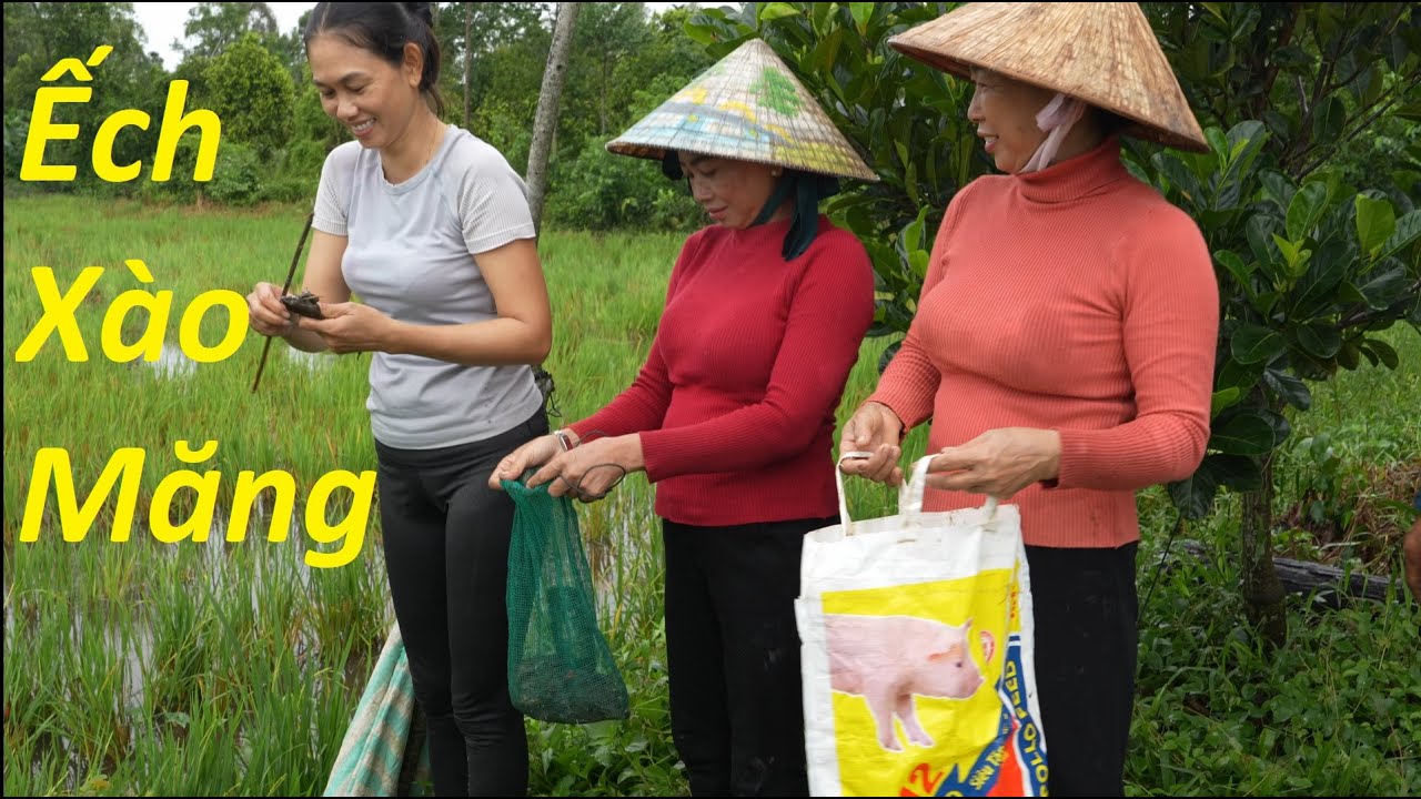 1301 / Cắm câu ếch bằng mồi cá chốt