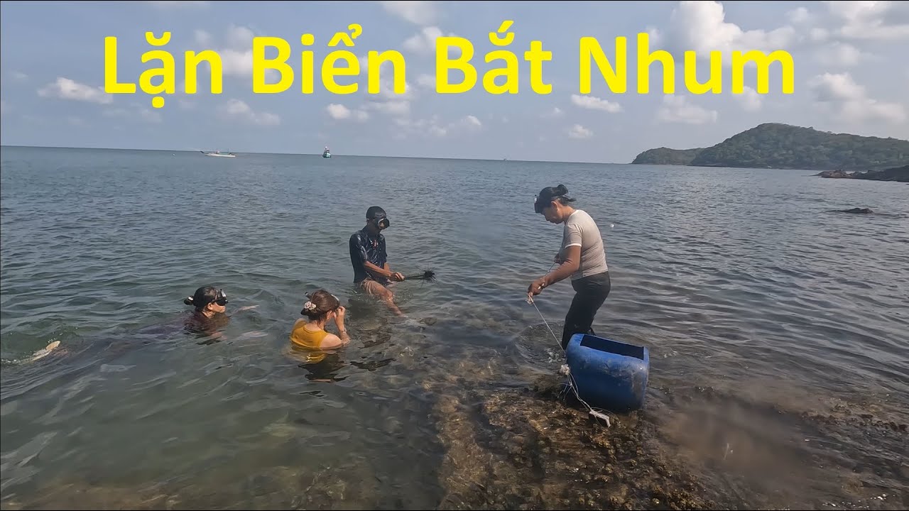 1208 / Lặn bắt nhum nướng ăn trên đảo