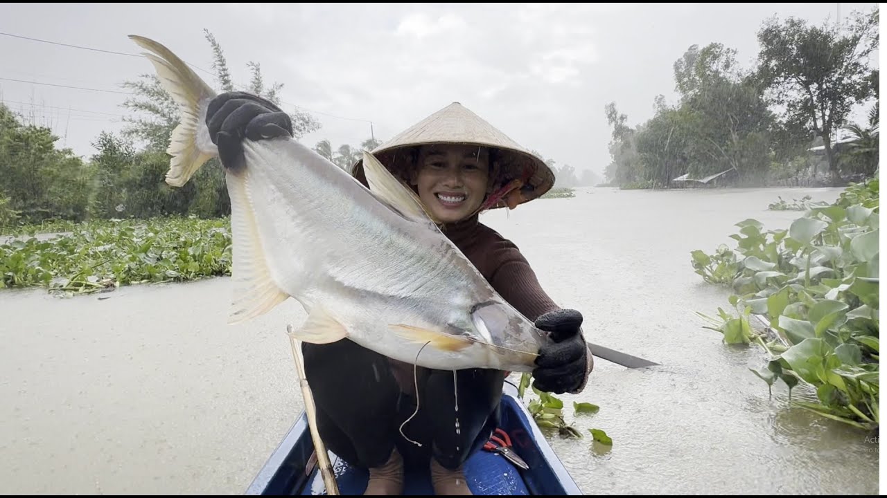 1349 / Giăng câu cá tra ngay cơn mưa lớn