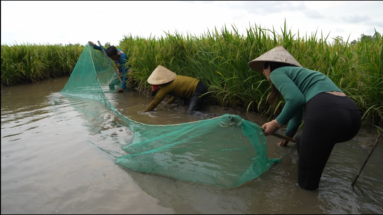 1264 / Trải nghiệm săn bắt nấu ăn giữa đồng