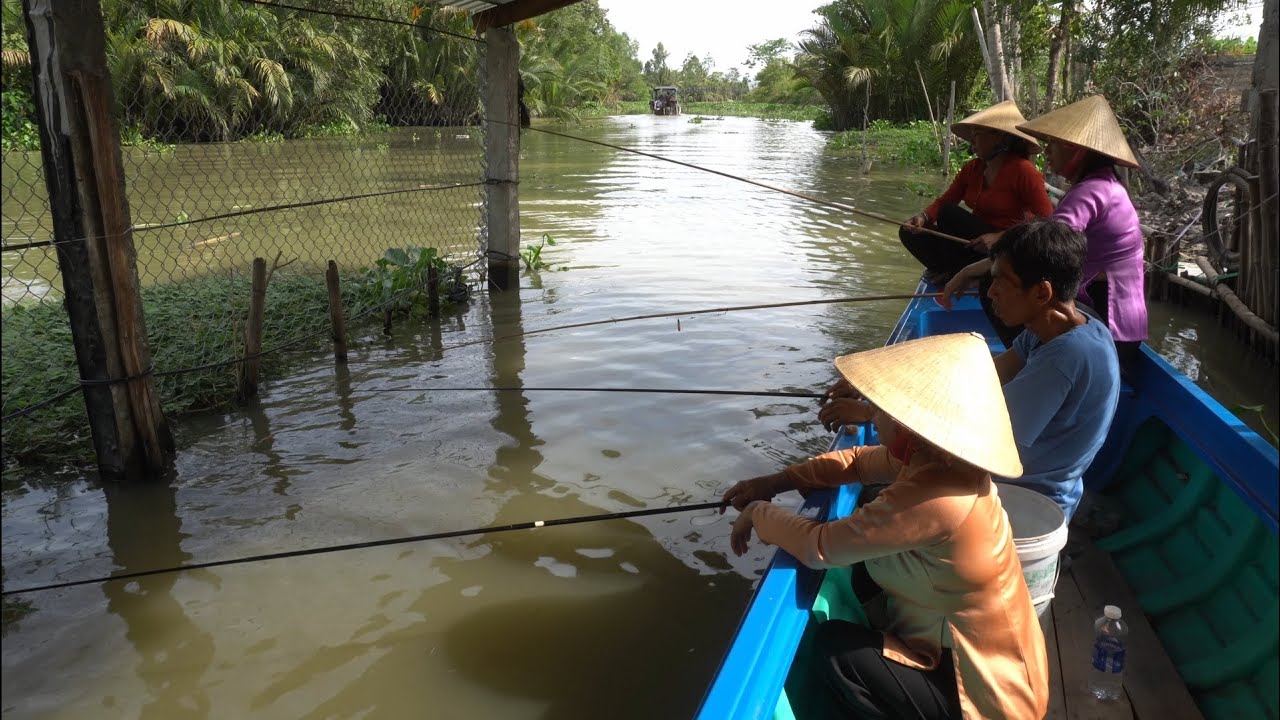 1251 / Câu cá mè vinh giật cá đã tay