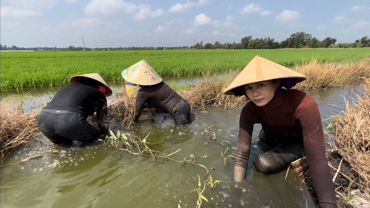 1120 / Ra đồng bắt cua nấu bún ăn tại đồng