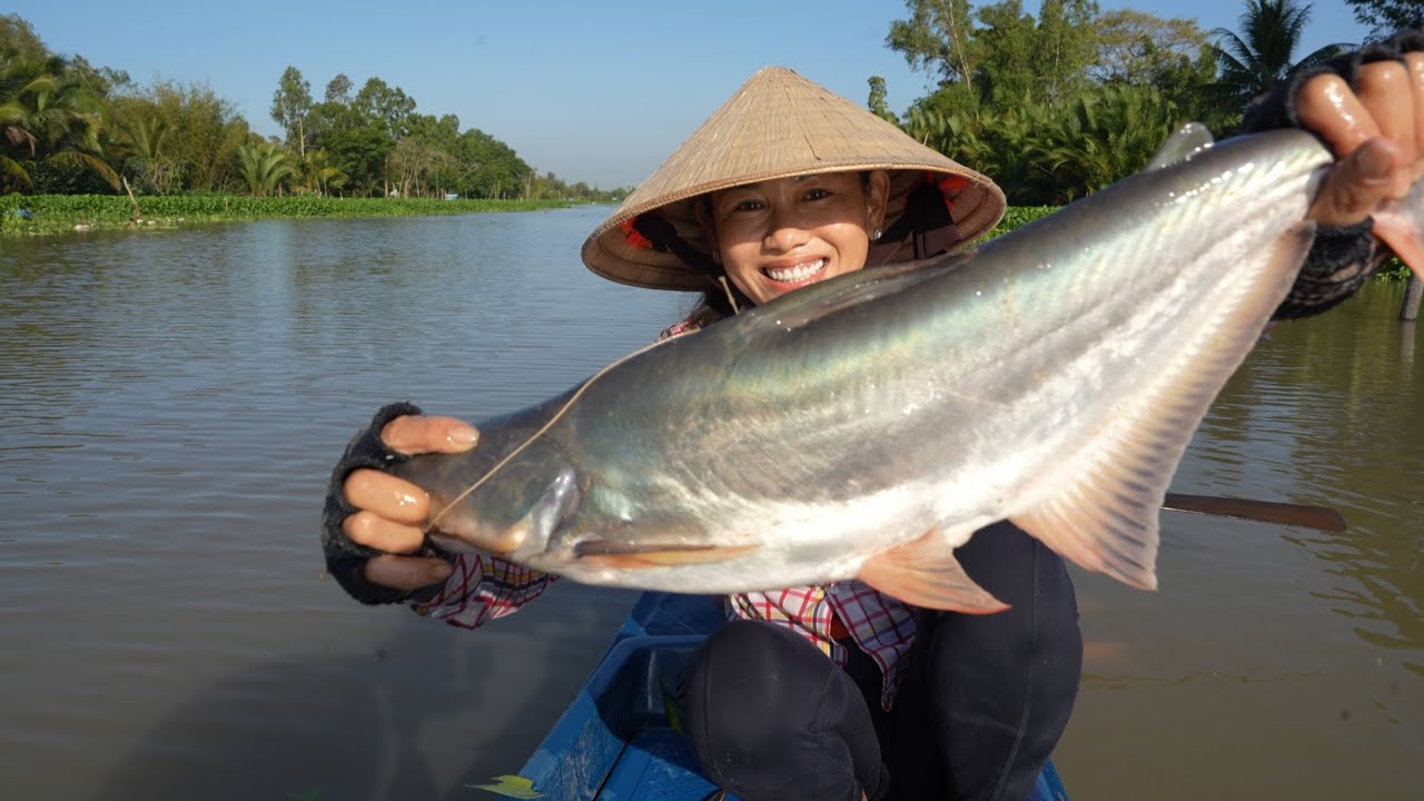 1161 / Thành quả 14 con cho lần giăng câu này