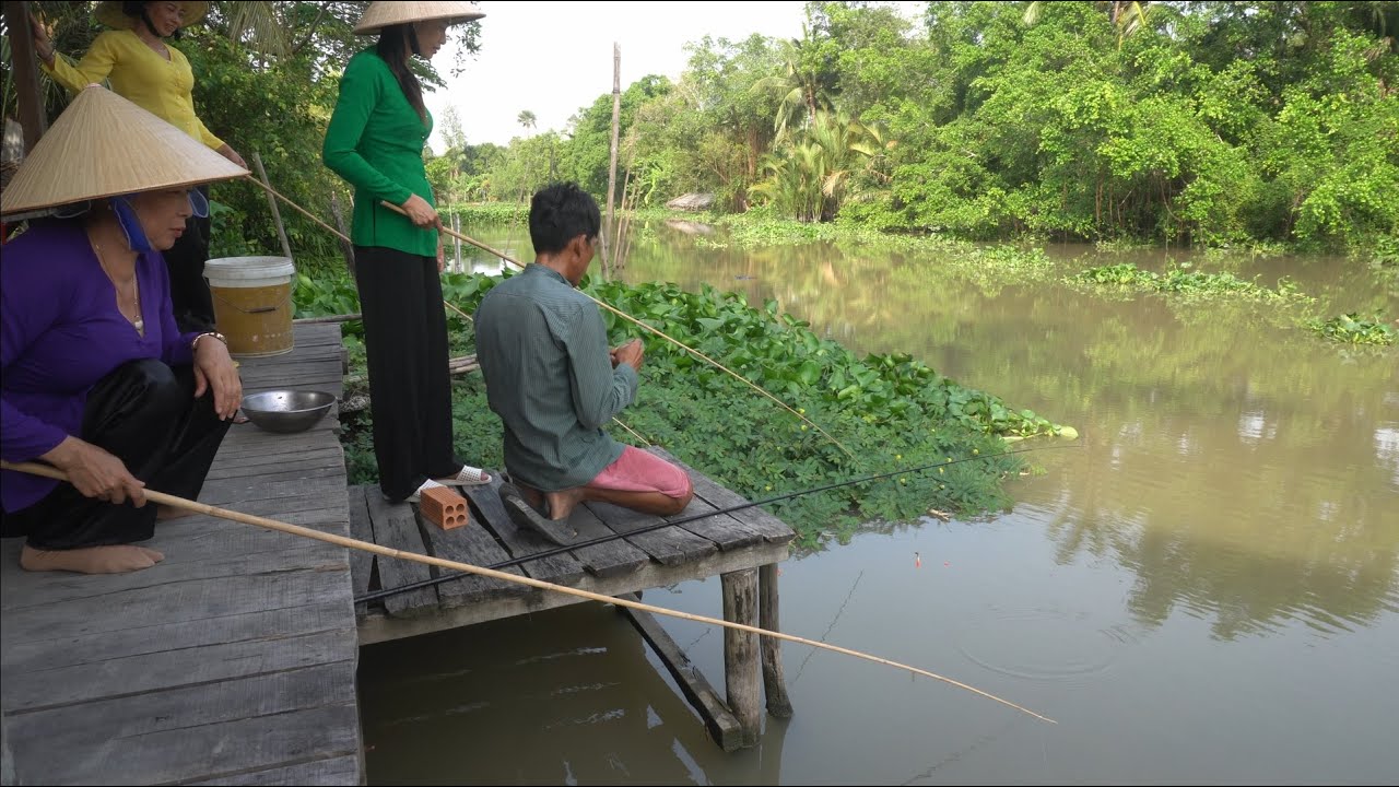 1116 / Ra bến sông nhà câu cá rô giật đã tay