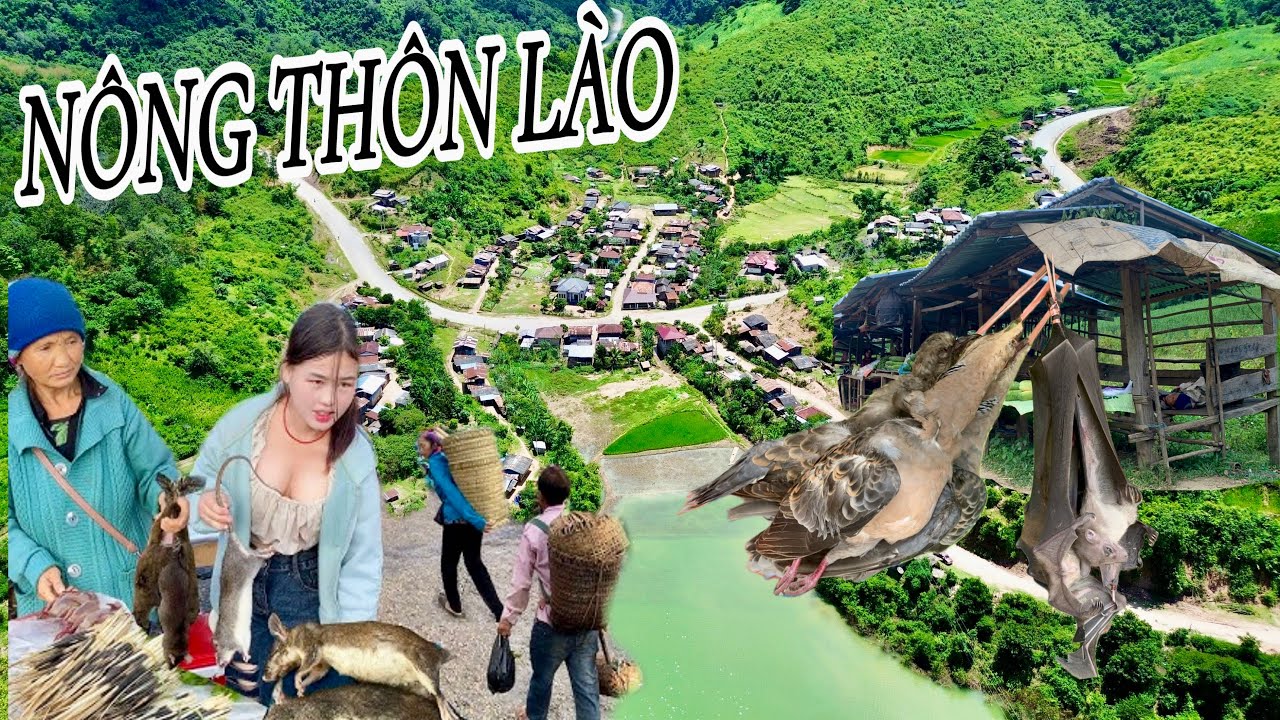 TRÁNH BÃO CHẠY SANG NƯỚC LÀO BÊN LÀO NÓNG NHƯ ĐỔ LỬA