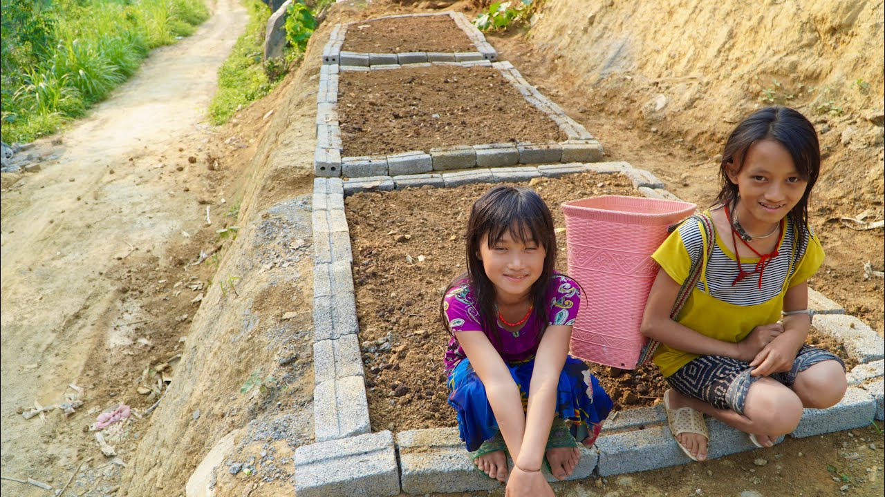 Táo Vàng Mồ Côi Gieo Rau Hy Vọng Sẽ Tươi Tốt