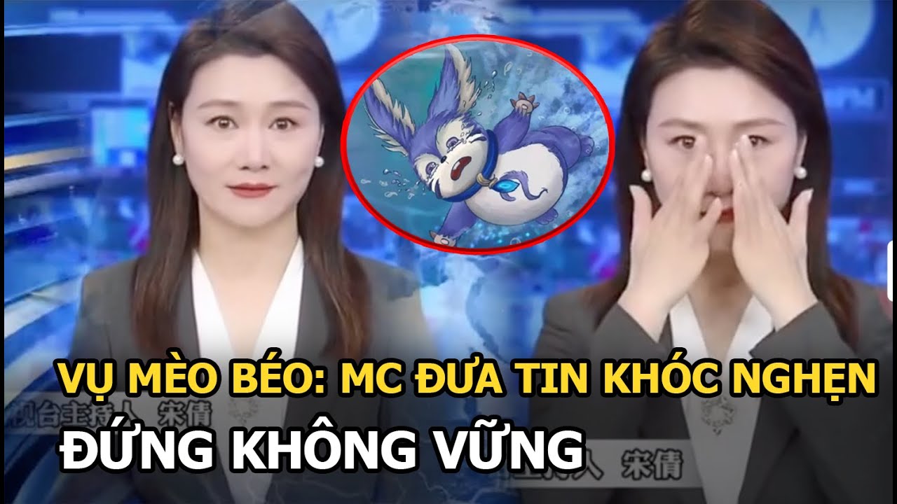 Vụ Mèo Béo: MC đưa tin khóc nghẹn, đứng không vững