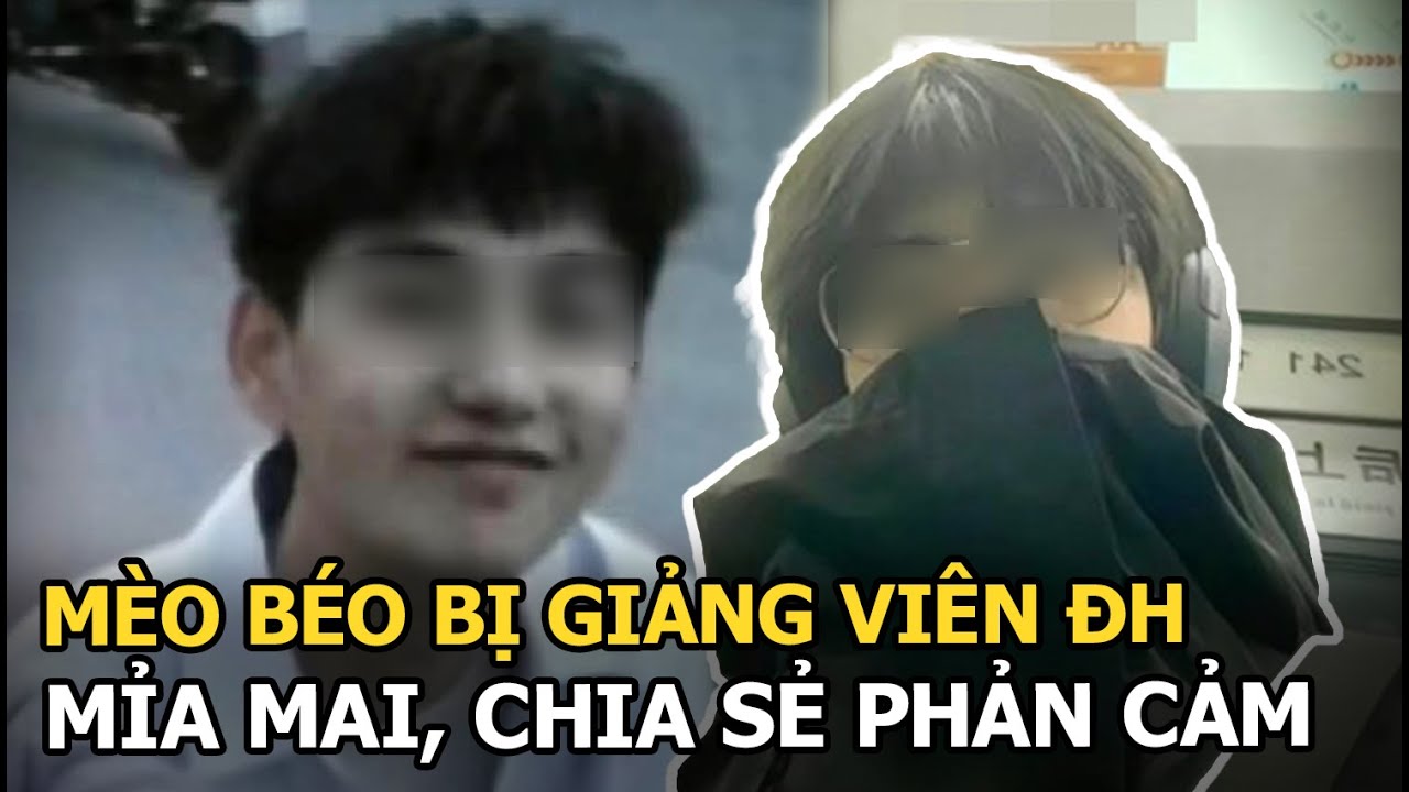 Giảng viên mắng Mèo Béo bất hiếu, lời lẽ phản cảm