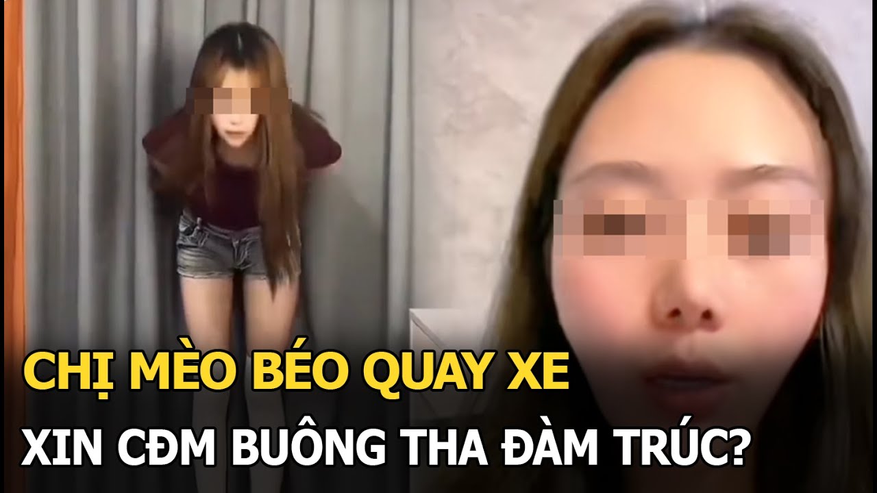 Chị Mèo Béo quay xe, xin CĐM buông tha Đàm Trúc?