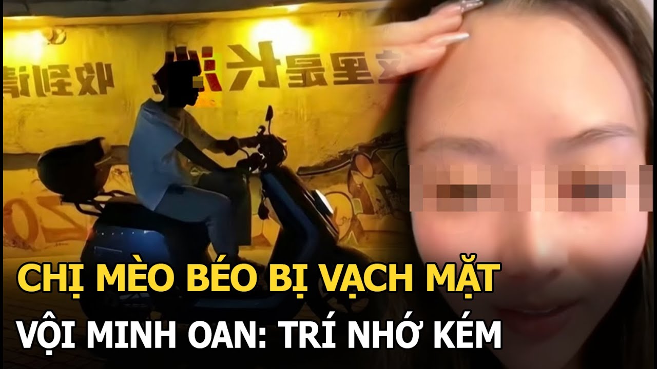 Chị Mèo Béo bị vạch mặt, vội minh oan: Trí nhớ kém