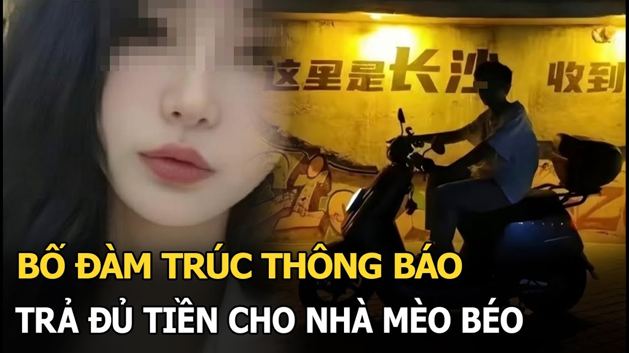 Bố Đàm Trúc thông báo trả đủ tiền cho nhà Mèo Béo