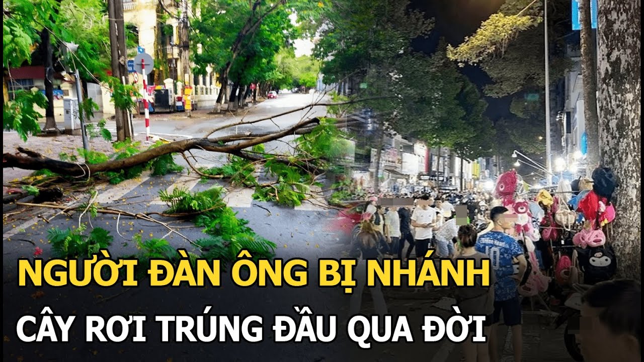 Người đàn ông bị nhánh cây rơi trúng đầu qua đời