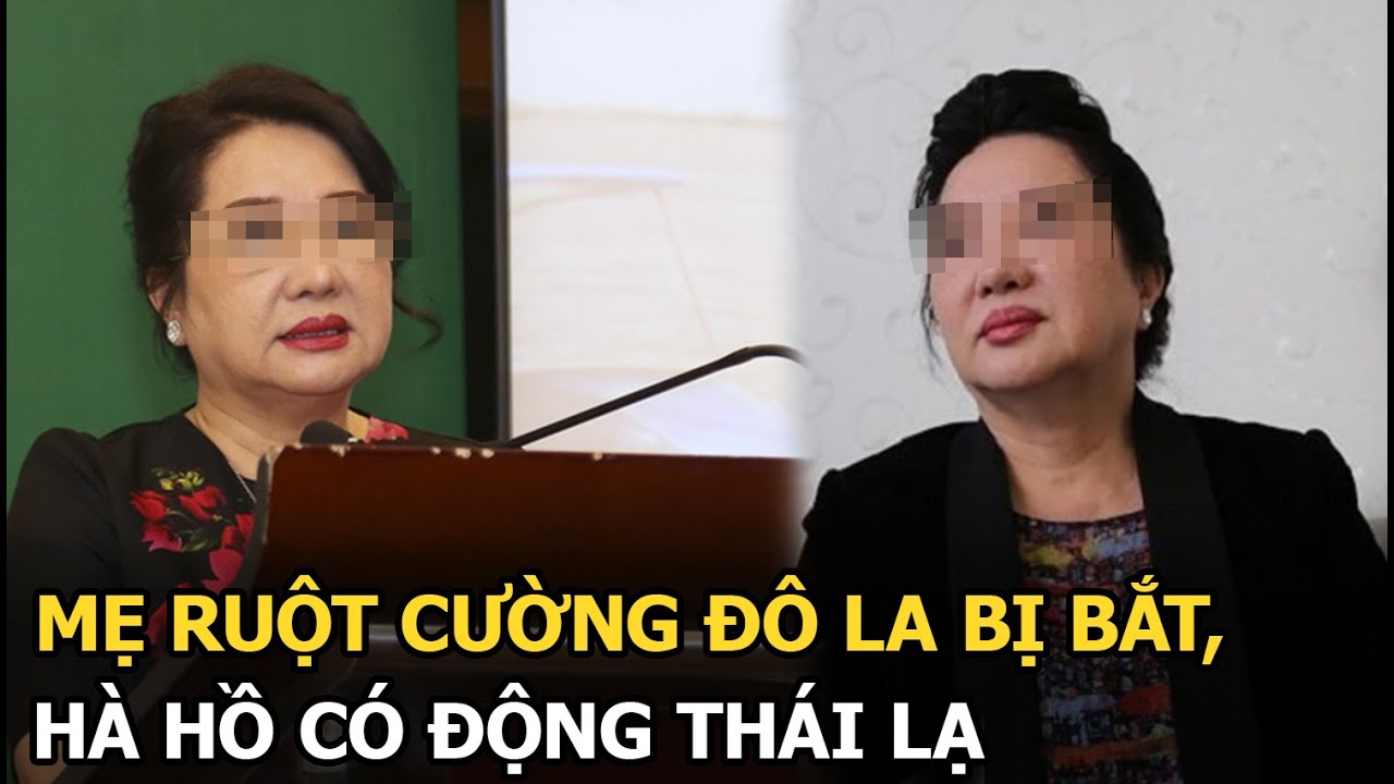 Mẹ ruột Cường Đô La bị bắt, Hà Hồ có động thái lạ