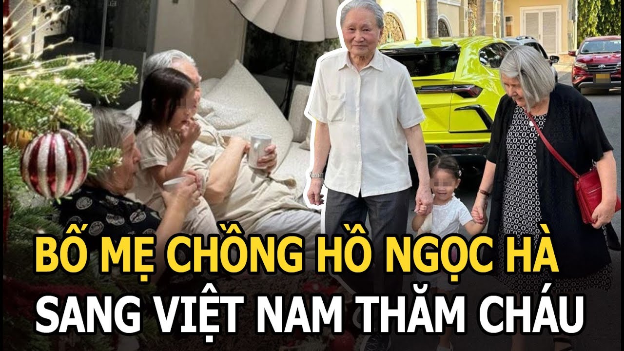 Bố mẹ chồng Hồ Ngọc Hà từ Thụy Điển sang Việt Nam thăm cháu, phản ứng của cặp sinh đôi gây sốt