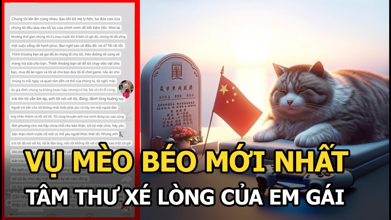 Vụ Mèo Béo mới nhất: Lộ tâm thư xé lòng của em gái