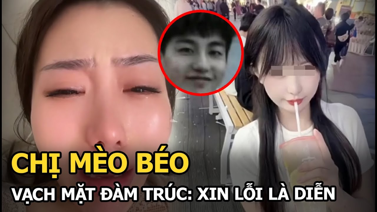 Chị Mèo Béo vạch mặt Đàm Trúc: Xin lỗi là diễn