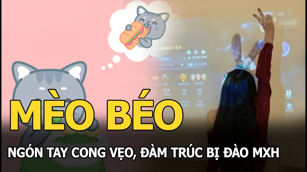 Mèo Béo ngón tay cong vẹo, Đàm Trúc bị đào MXH