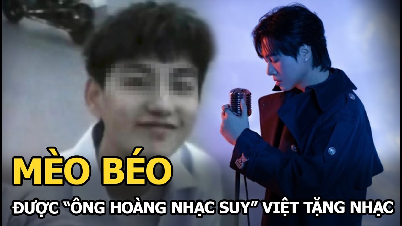 Mèo Béo được “ông hoàng nhạc suy” Việt tặng nhạc