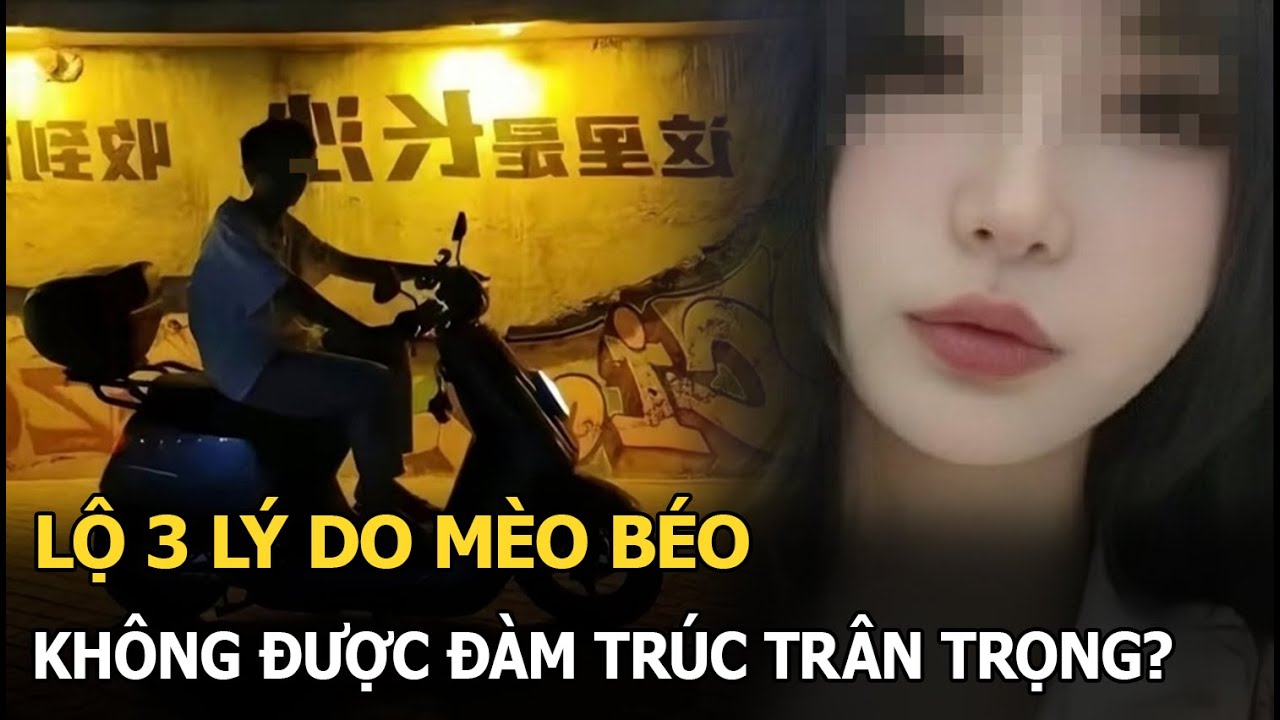 Lộ 3 lý do Mèo Béo không được Đàm Trúc trân trọng?