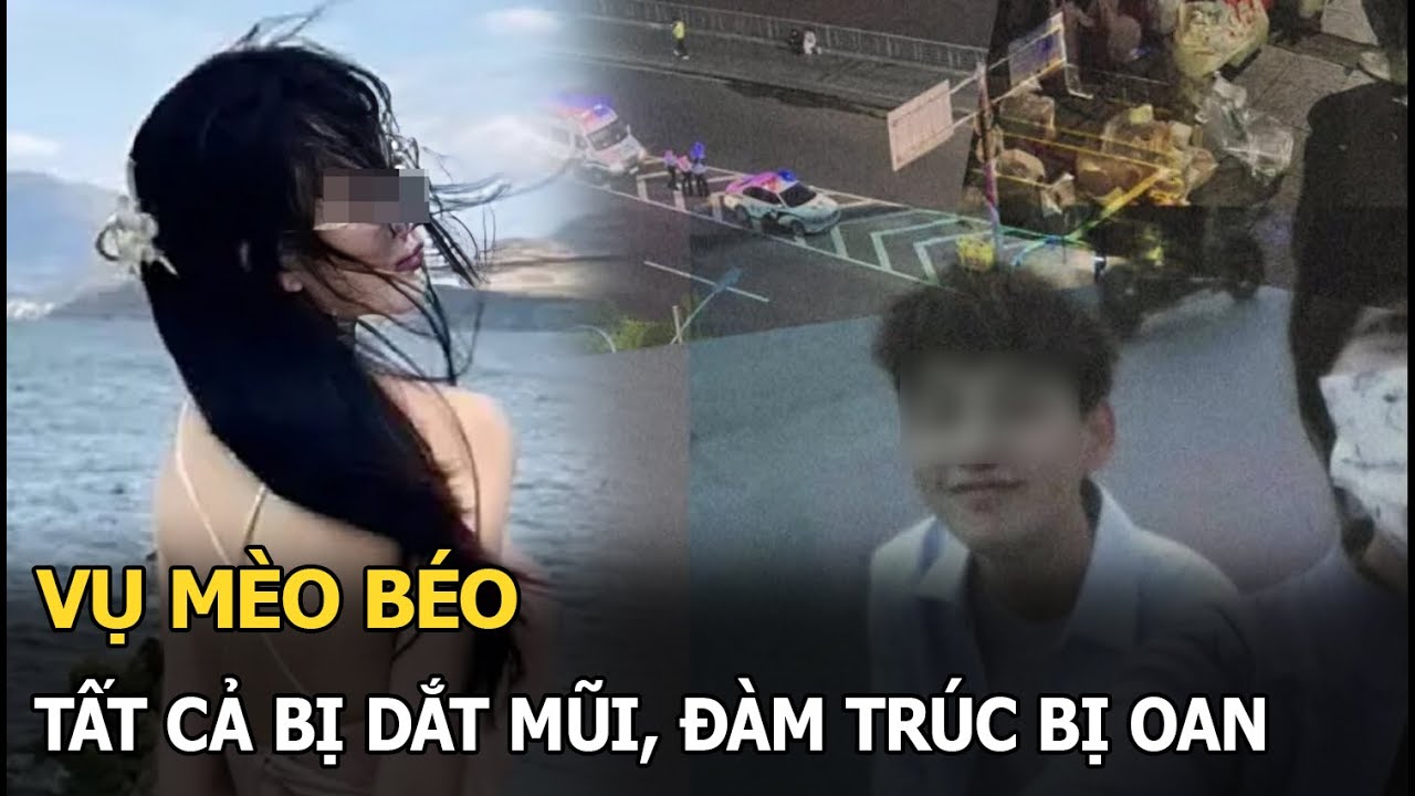 Vụ Mèo Béo: Tất cả bị dắt mũi, Đàm Trúc bị oan