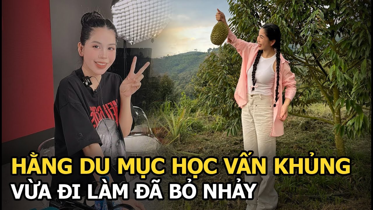 Hằng Du Mục học vấn khủng, vừa đi làm đã bỏ nhảy