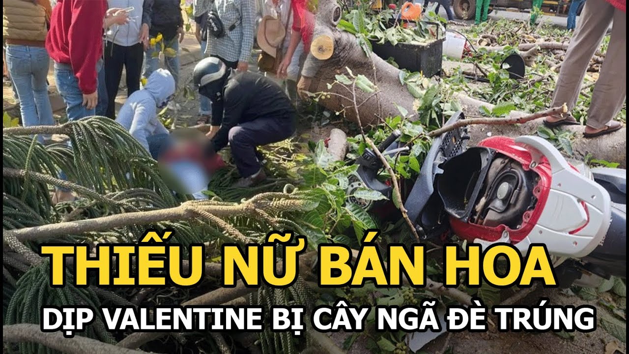 Thiếu nữ bán hoa dịp valentine bị cây ngã đè trúng