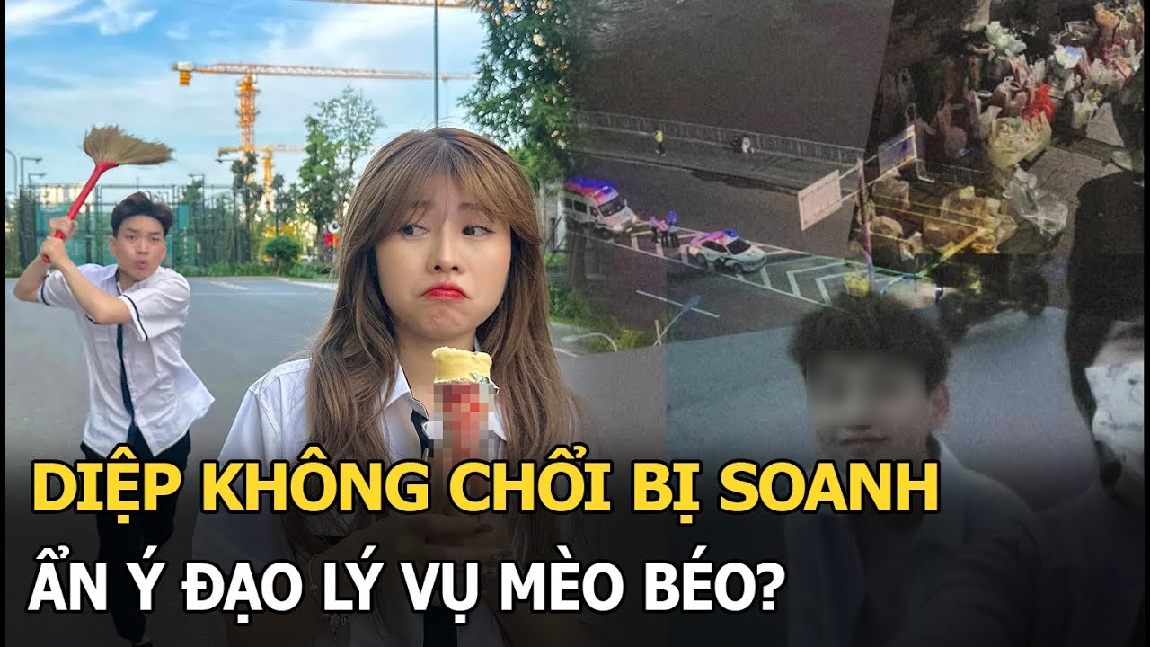 Diệp không chổi bị Soanh ẩn ý đạo lý vụ Mèo Béo?