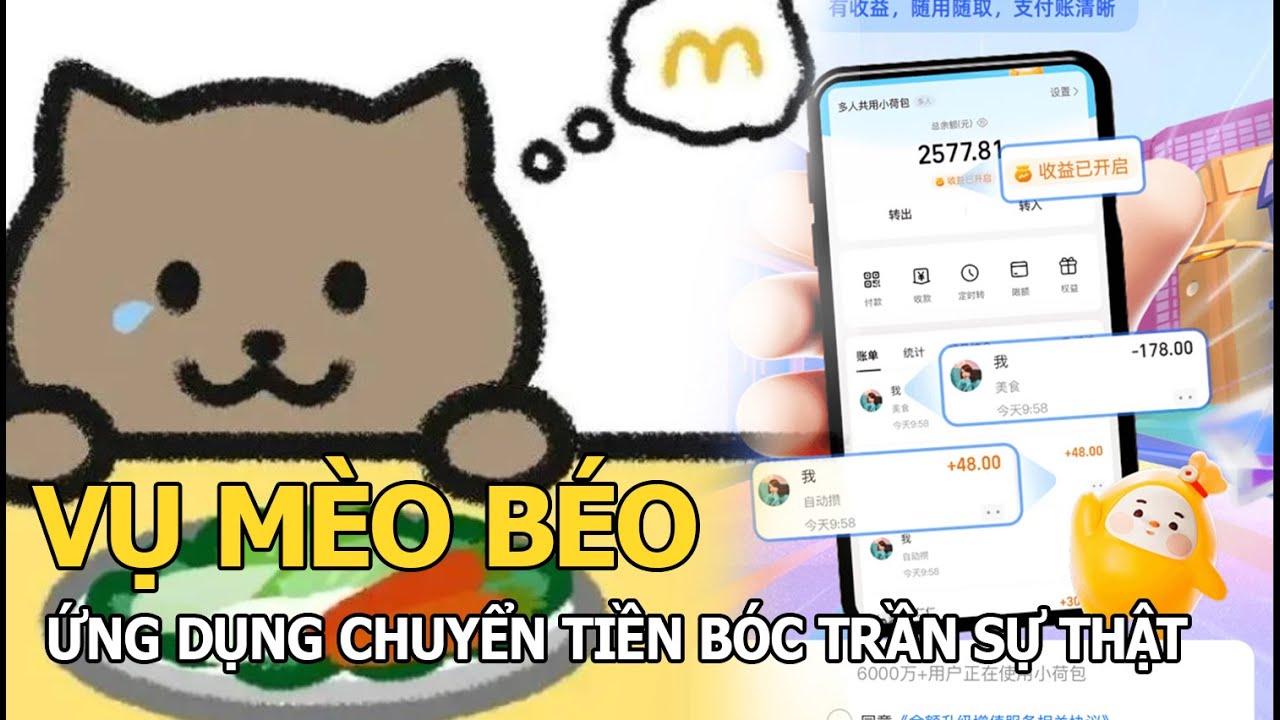 Vụ Mèo Béo: Ứng dụng chuyển tiền bóc trần sự thật