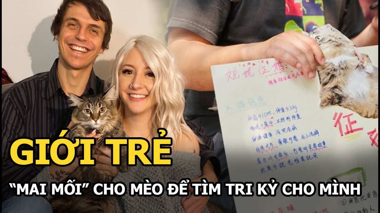 Trào lưu xem mắt độc lạ của giới trẻ: “Mai mối” cho thú cưng để tìm ý trung nhân cho mình